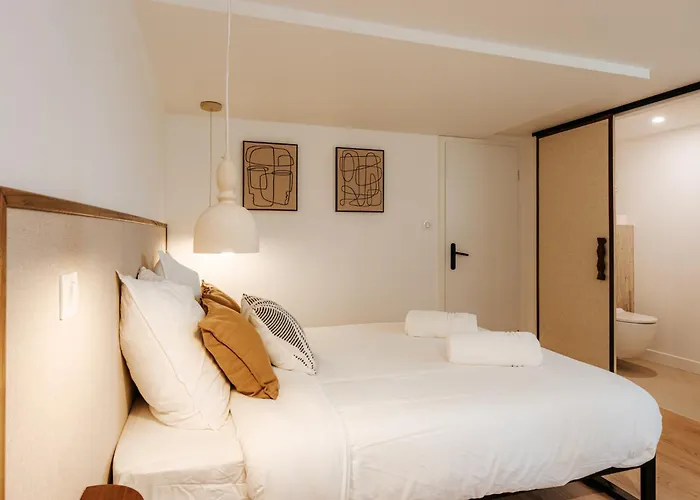 Accommodatie bij particulieren L'alma- Acces Privee-proche Aeroport-parking-wifi *