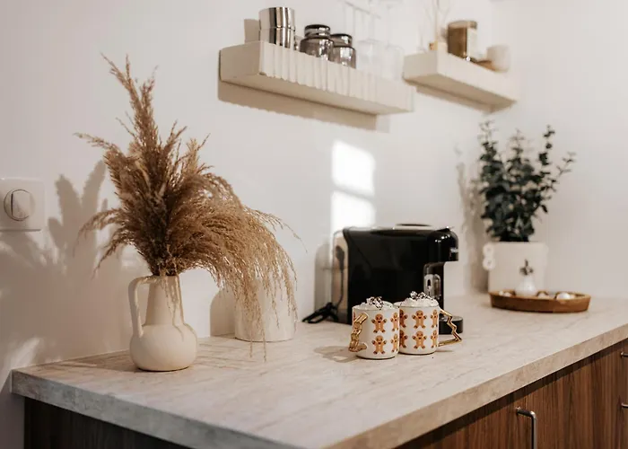 L'alma- Acces Privee-proche Aeroport-parking-wifi Accommodatie bij particulieren Achenheim